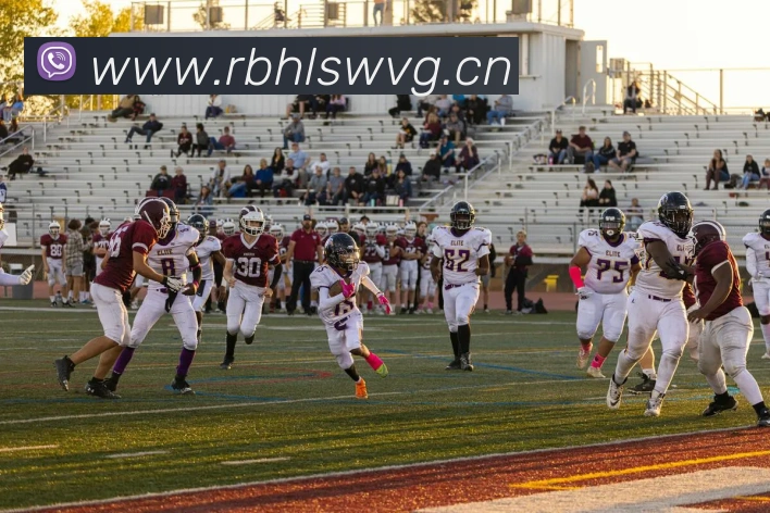 九游在线官方官网全站App